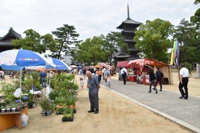 弘法大師御誕生会 大師市 イベント 善通寺市観光協会オフィシャルサイト